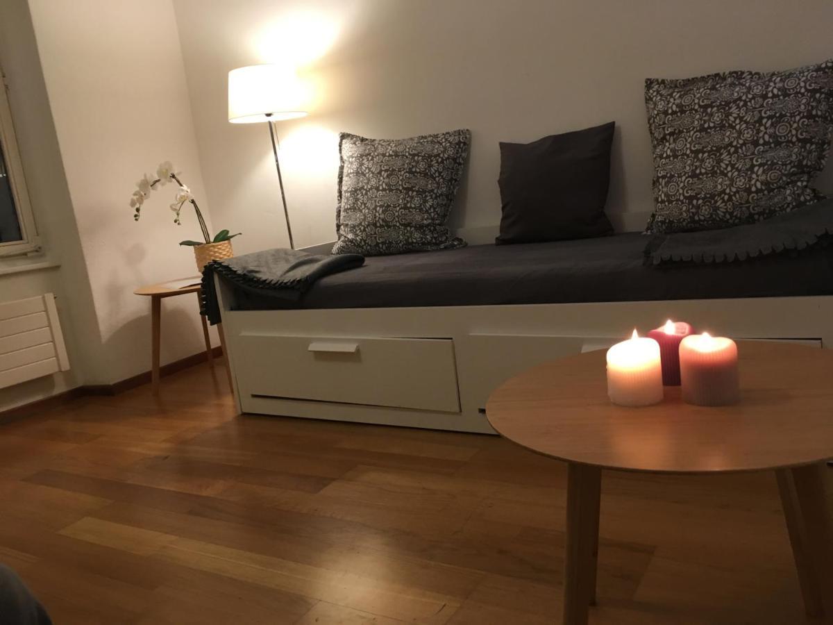 Parking Voiture & Appartement 2Pcs Lausanne Centre Eksteriør billede